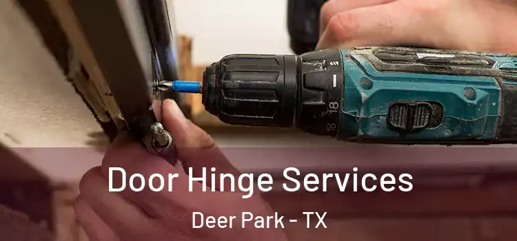 Door Hinge Services Deer Park - TX