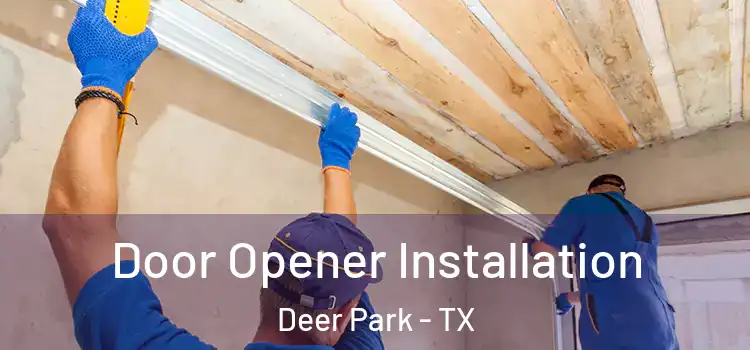 Door Opener Installation Deer Park - TX