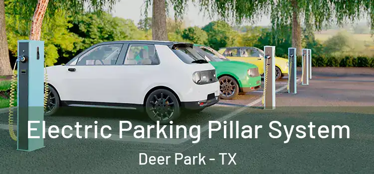  Electric Parking Pillar System Deer Park - TX