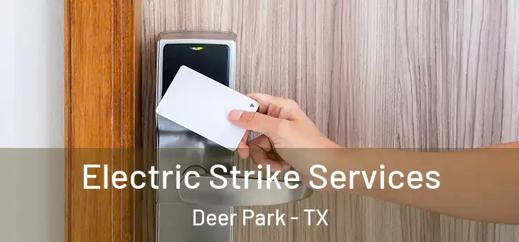  Electric Strike Services Deer Park - TX