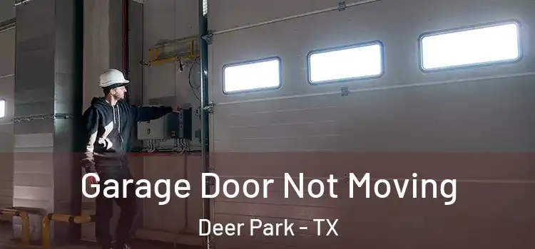  Garage Door Not Moving Deer Park - TX