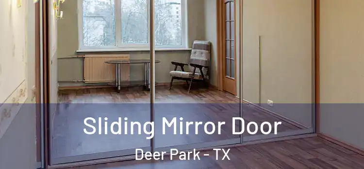  Sliding Mirror Door Deer Park - TX